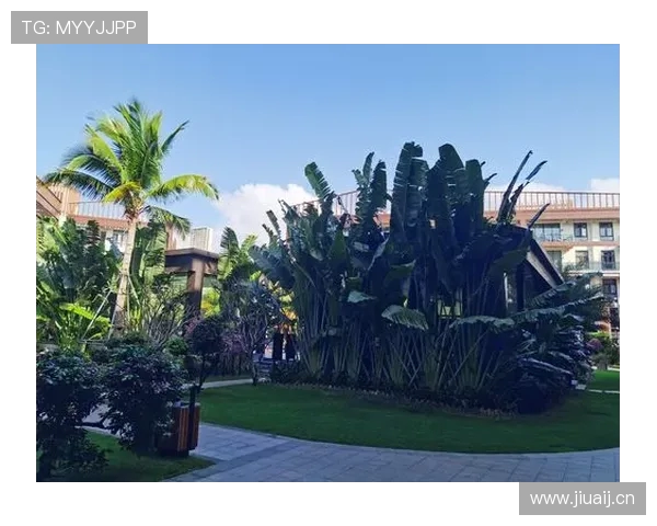 参考标题:《阔别六载,托万一分钟天钩定乾坤法兰西战袍再现杀手本色》 参考标题:《阔别六载,托万一分钟天钩定乾坤法兰西战袍再现杀手本色》